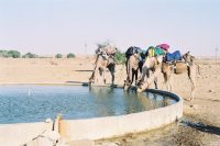 Jaisalmer velbloudi trek